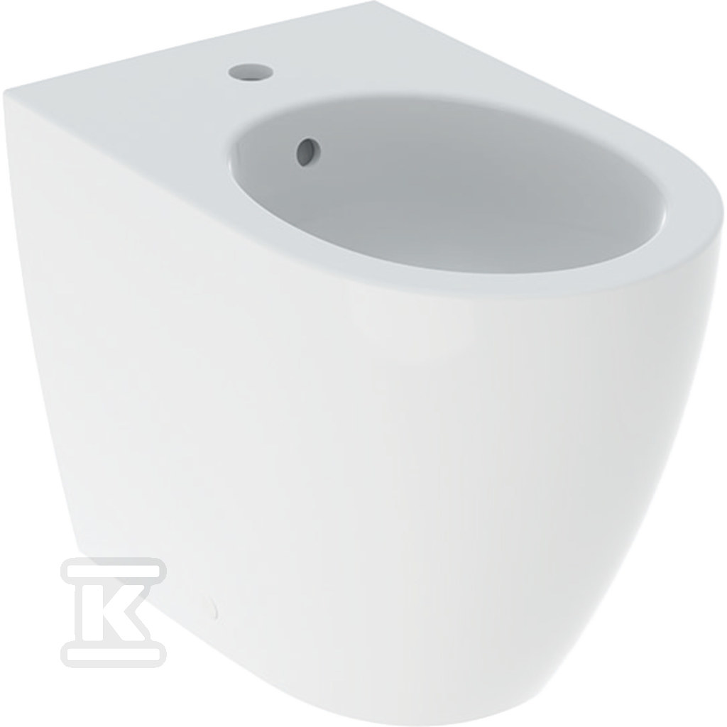 Bidet stojący iCon ukryte mocowania przylegający do ściany 56cm z przelewem Biały-alpin / Matowy 502.384.JT.1 - obrazek 1