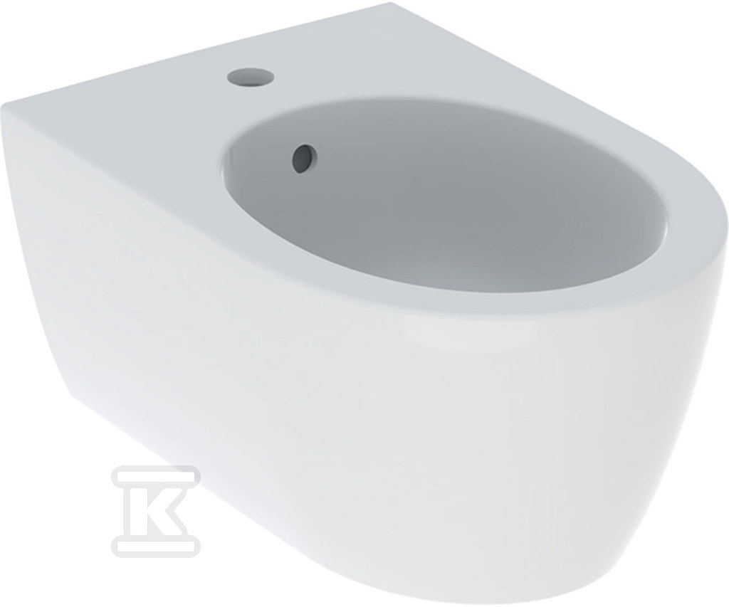 Bidet wiszący iCon ukryte mocowania 53 cm z przelewem 501.898.00.1 - obrazek 1