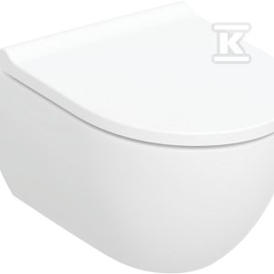 Zestaw miski WC wiszącej Acanto, lejowa, 36×38.5x53cm, TurboFlush, deska wolnoopadająca, ukryte mocowania 502.774.00.1 Zestaw miski WC wiszącej Acanto, lejowa, 36×38.5x53cm, TurboFlush, deska wolnoopadająca, ukryte mocowania 502.774.00.1
