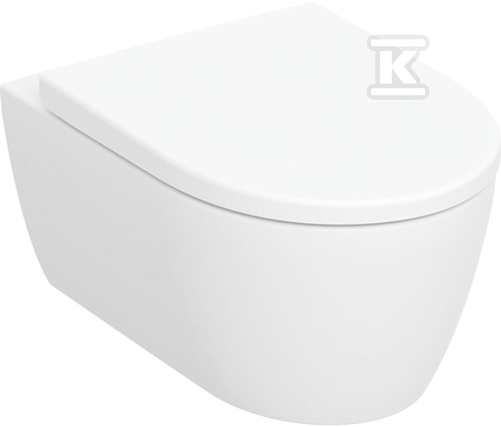 Zestaw WC iCon - wisząca miska lejowa, B35.5cm, H37.5cm, T53cm, ukryte mocowania, Rimfree, deska sedesowa wolnoopadająca, mocowanie od góry, wypinane zawiasy 501.664.00.1 - obrazek 1