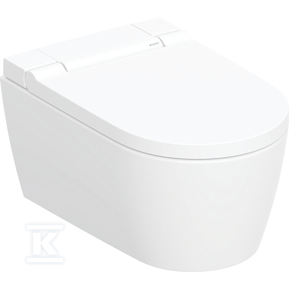 Urządzenie WC z funkcją higieny intymnej Geberit AquaClean Sela, wisząca miska WC: Miska ustępowa: biały / KeraTect, Panel dekoracyjny: biały 146.220.11.1 - obrazek 1