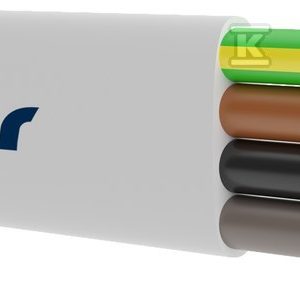 Przewód instalacyjny HDHp-J 750V 4×1 (B2ca) HDHP-J7-4X1(B2CA) Przewód instalacyjny HDHp-J 750V 4×1 (B2ca) HDHP-J7-4X1(B2CA)