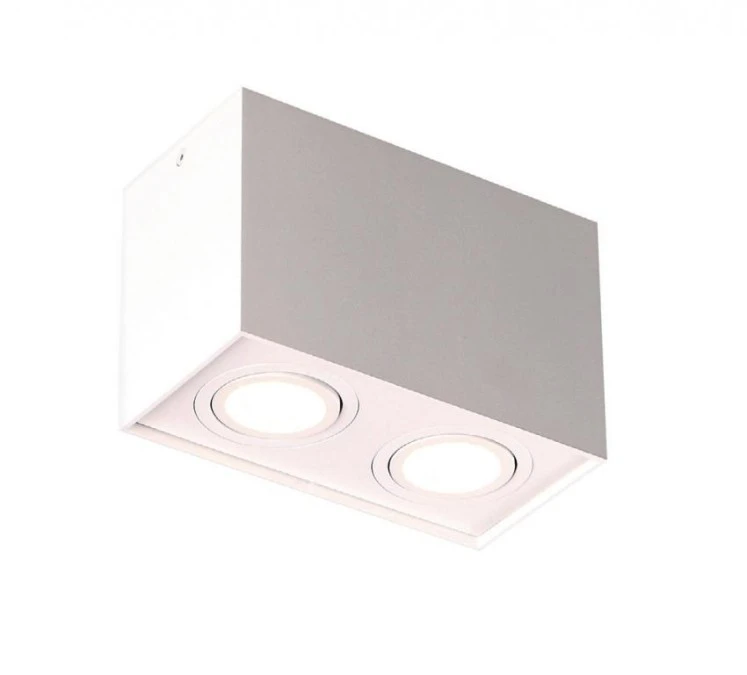 MAXLIGHT C0088 LAMPA SUFITOWA BASIC SQUARE BIAŁA PODWÓJNA - obrazek 1