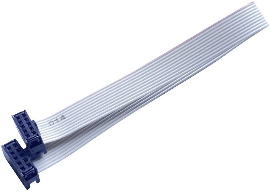 BKL Electronic 10120668 Kabel płaski, taśmowy Wymiary siatki: 2.54 mm 10 x 0.08 mm² szary 1 szt. - obrazek 1