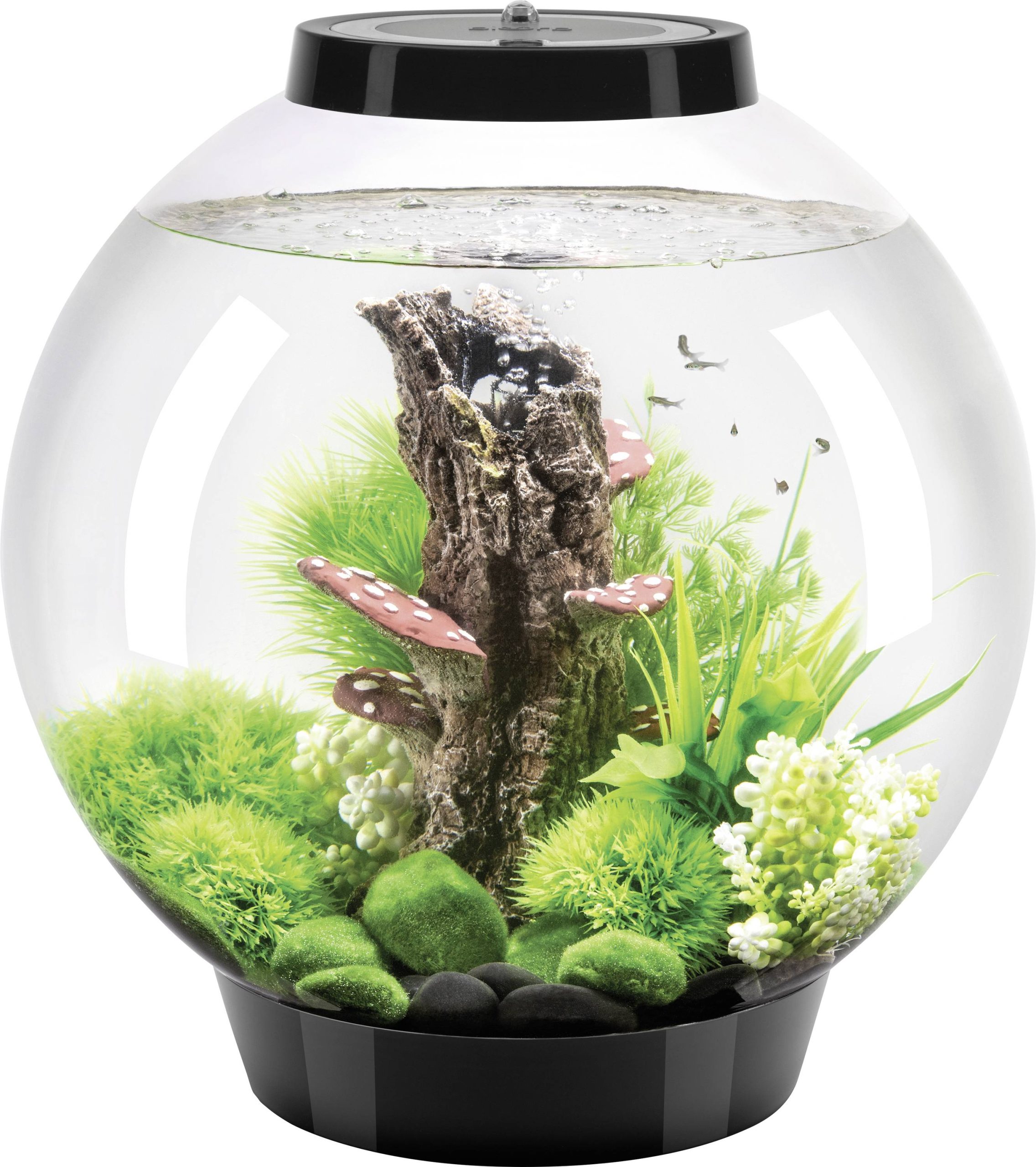 Akwarium akrylowe Oase biOrb CLASSIC 30 LED schwarz 72005, z Podświetleniem LED, 30 l - obrazek 1