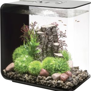Akwarium akrylowe Oase biOrb FLOW 30 LED schwarz 72033, z Podświetleniem LED, 30 l, (D x S x W) 260 x 380 x 390 mm Akwarium akrylowe Oase biOrb FLOW 30 LED schwarz 72033, z Podświetleniem LED, 30 l, (D x S x W) 260 x 380 x 390 mm