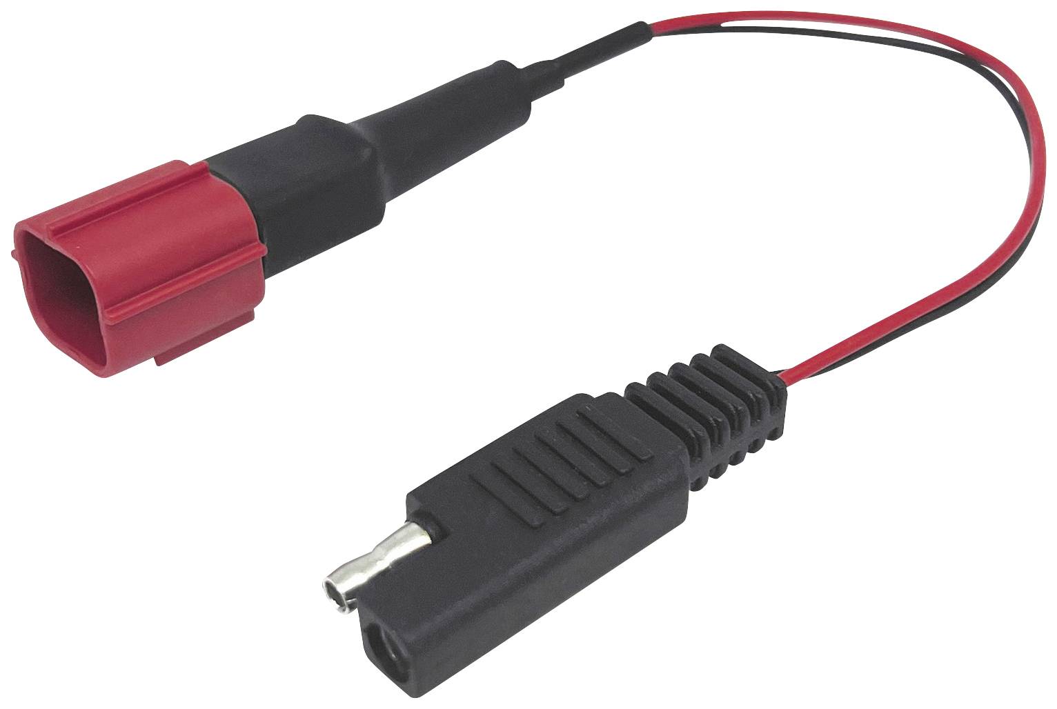 BAAS BA5 Kabel przyłączeniowy DDA Ducati-EURO5 SAE/Multiconnector - obrazek 1