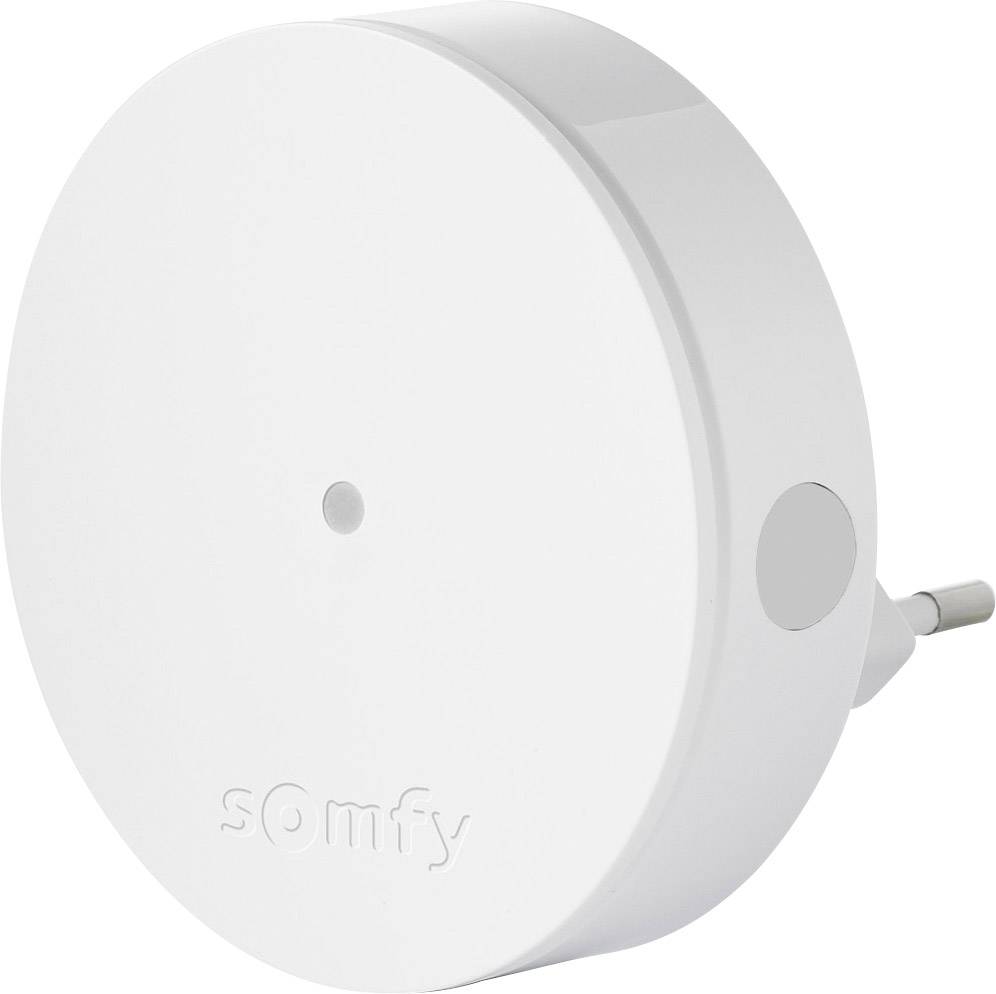 Bezprzewodowe rozszerzenie systemu alarmowego Somfy 2401495, 1 szt. - obrazek 1