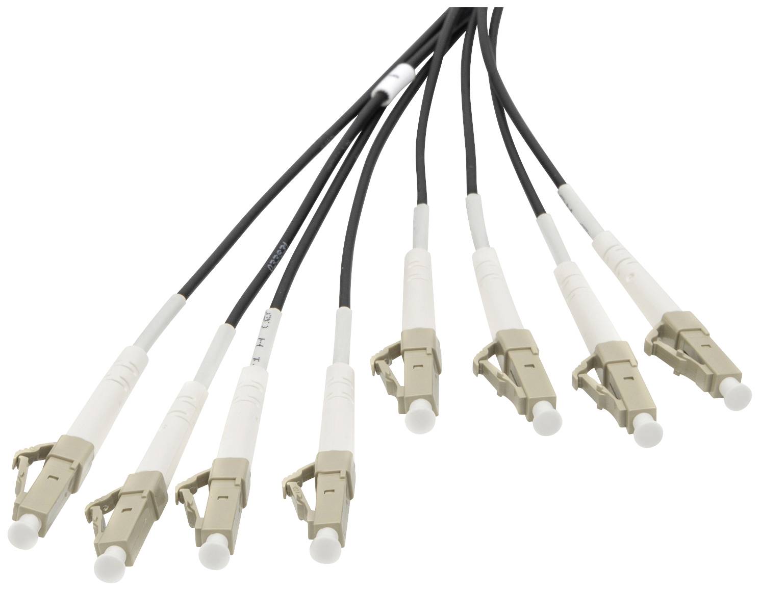 Digitus DK-24338U030BK-BBB światłowodowe do światłowodów kabel 30 m czarny [8x złącze męskie LC/UPC - 8x złącze męskie L - obrazek 1