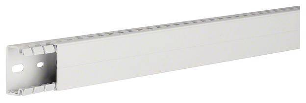 Kanał na wiązki Hager HA725040 HA725040 (D x S x W) 2 m x 40 mm x 25 mm 2 m - obrazek 1