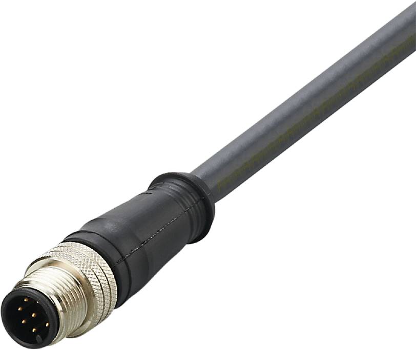 ifm Electronic E12436 Linia połączenia M12 złącze męskie proste 2 m Ilość pinów: 8 1 szt. - obrazek 1