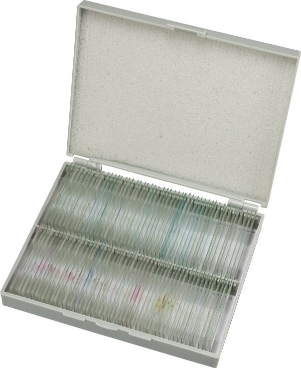 Bresser Optik Dauerpräparate 100er 5986003 Szkiełka do próbek do mikroskopu