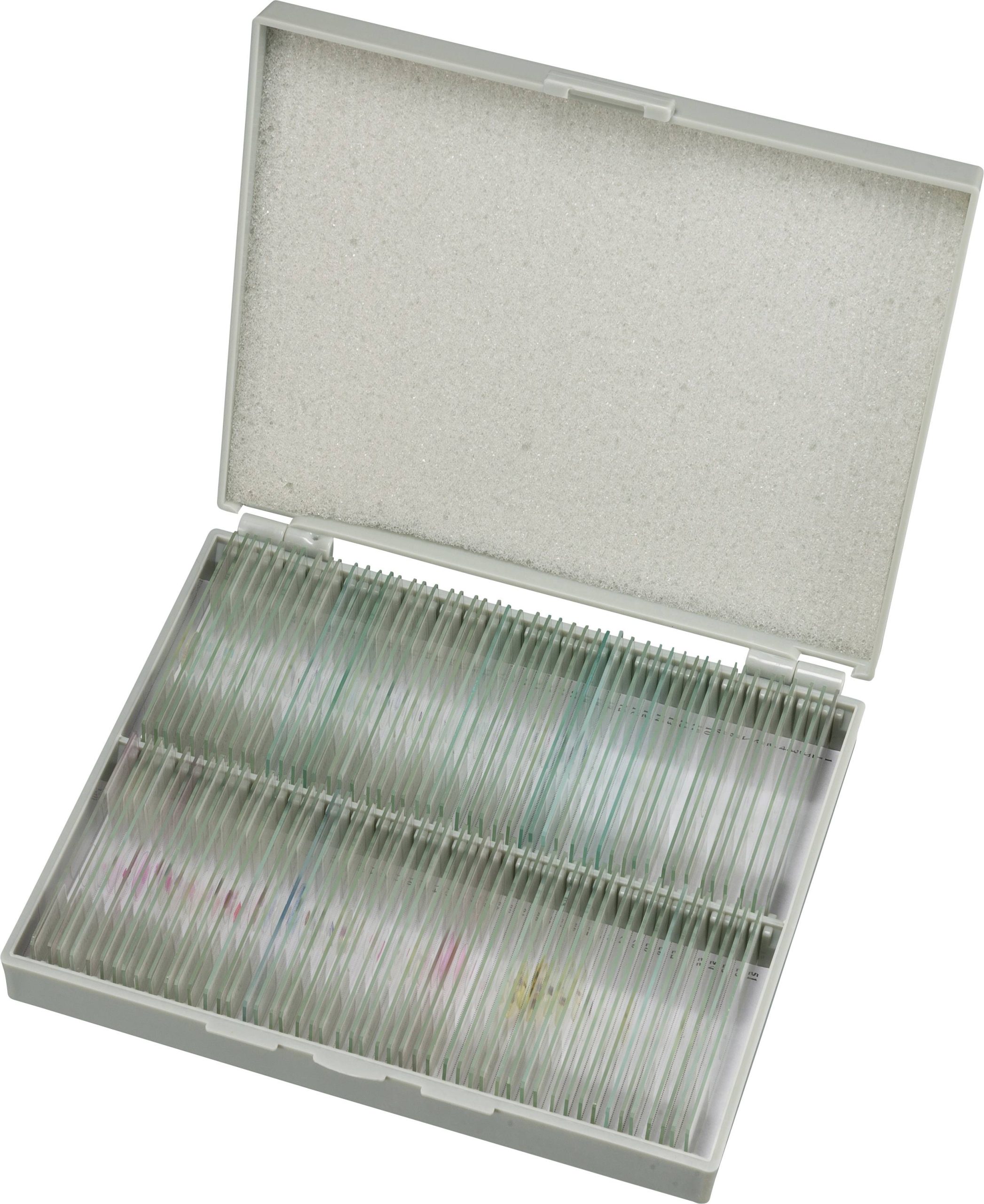 Bresser Optik Dauerpräparate 100er 5986003 Szkiełka do próbek do mikroskopu - obrazek 1